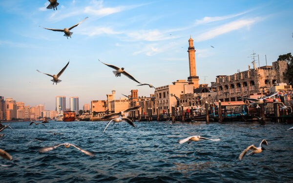 ROVE CITY CENTRE_0000s_0000_ROVE CITY CENTRE-32